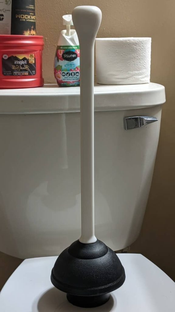 toilet plunger on toilet