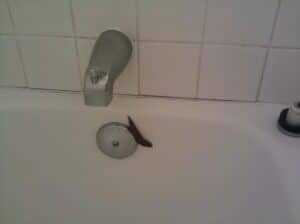 bathroom slug